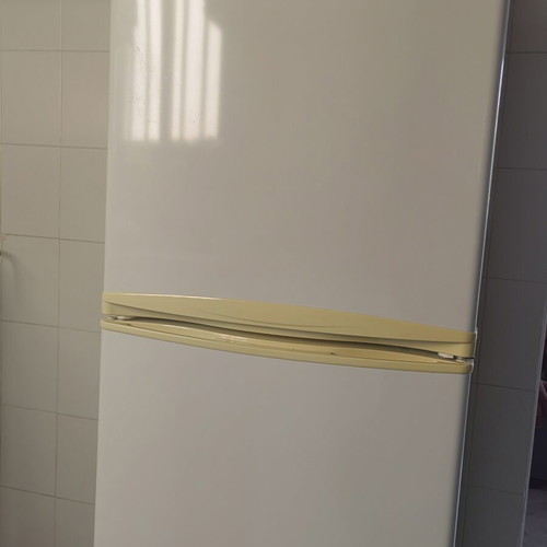 Trenton 156 refrigerator dimensions 135x48 like new