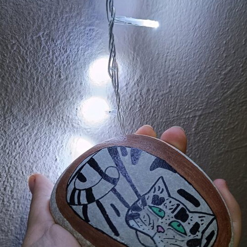Painted stone new with acrylic colors