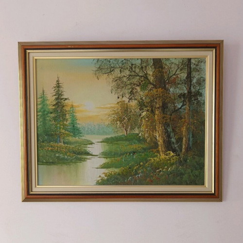 Painting 50x40 cm used, framed