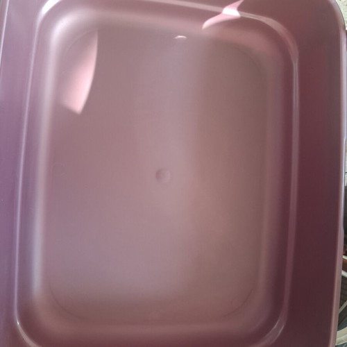 Cat toilet