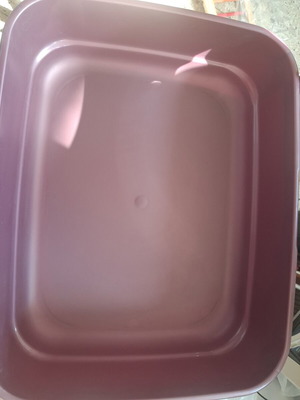 Cat toilet