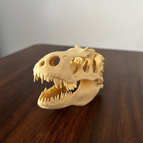 T-Rex dinosaur skull like new, 12 centimeters long
