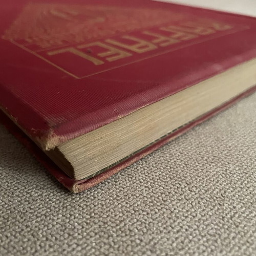 Raffael Klassiker der Kunst Volume I 1905 German art book
