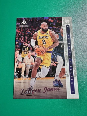 Panini Chronicles Luminance LeBron James Pink Parallel Card 2021-22 new