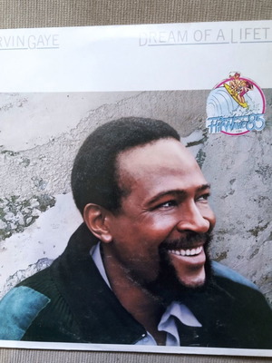Marvin Gaye Dream Of A Lifetime LP used, R&B / Soul