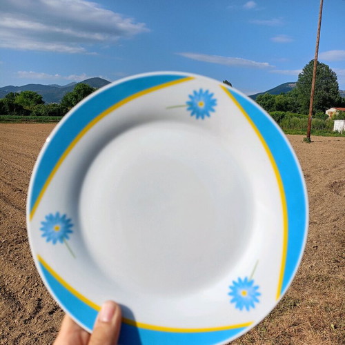 Fine Porcelain plates used, set of 7 with blue and yellow designs