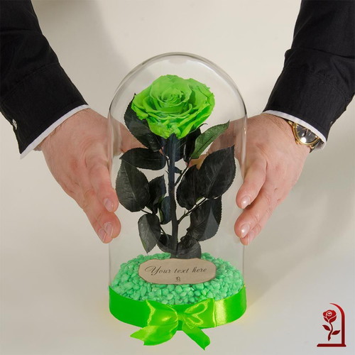 Green Natural Eternal Rose in Large Glass Dome made to order