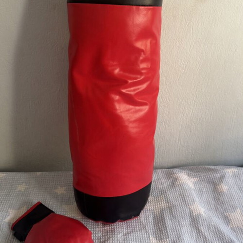 Boxing bag and glove like new
