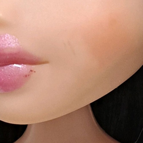 Bratz htf Ice Champions Dana nude used with flaws