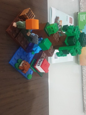 Lego Minecraft The Swamp Adventure σετ με φιγούρα Alex και κύβο TNT