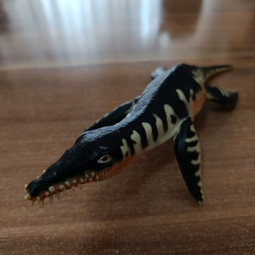 Liopleurodon sea dinosaur used, length 17cm