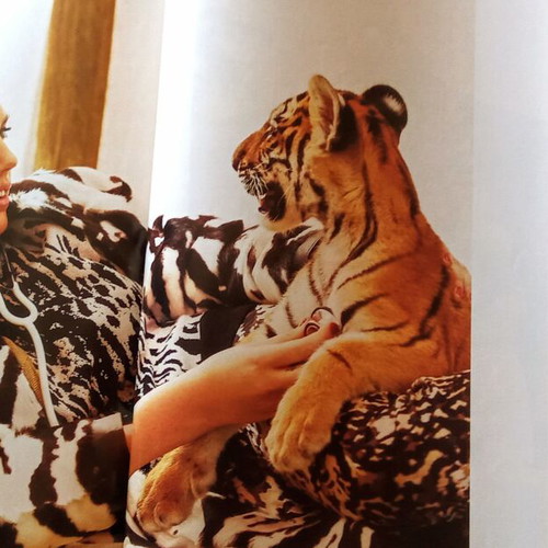 Bazaar magazines Gwyneth Paltrow and Carine Roitfeld like new