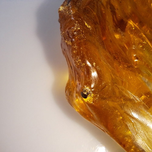 Baltic amber with insects, new, 51.48 g, millions of years old