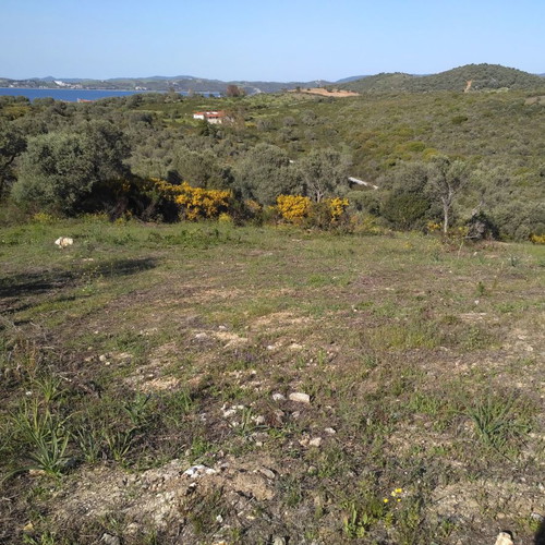Αγροτεμάχιο 4483,5 τ.μ. οικοδομήσιμο στην Αμμουλιανή Χαλκιδικής