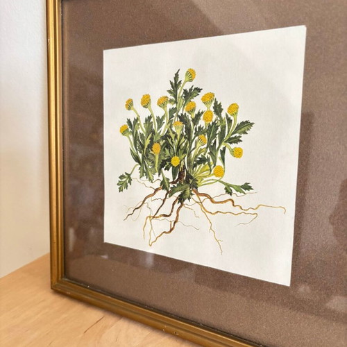 Vintage frame with floral design used, 27.5x27.5 cm