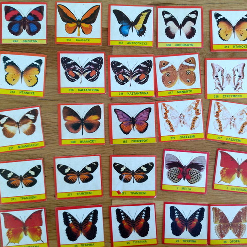 CAROUSEL BUTTERFLIES
