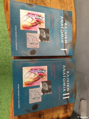 Clinical Anatomy 1 and 2 used university textbooks