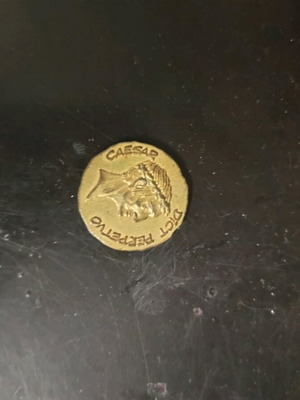 Nutella Abraracourcix collectible coin used