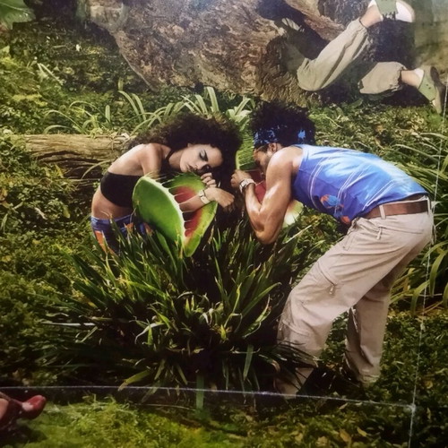 Diesel-Nature giant poster like new (1.40×1.00)