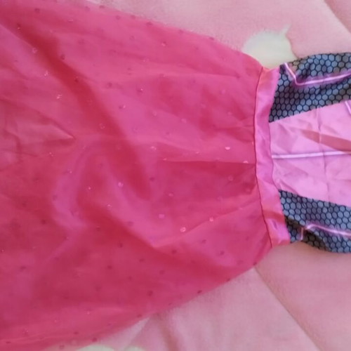 Paw Patrol costume used, age 3-4 years