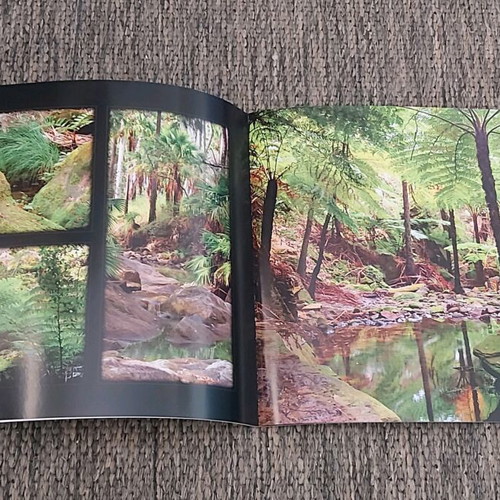 Photo albums like new, pack of 5 with flower, landscape, animal collections