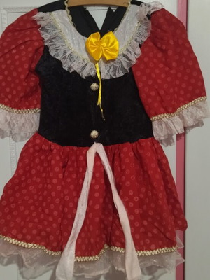 Minnie Mouse carnival costume used