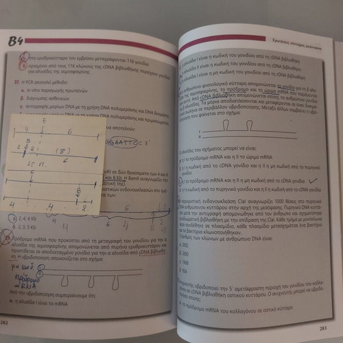 Biology textbook for 3rd grade high school by Nota Lazaraki used
