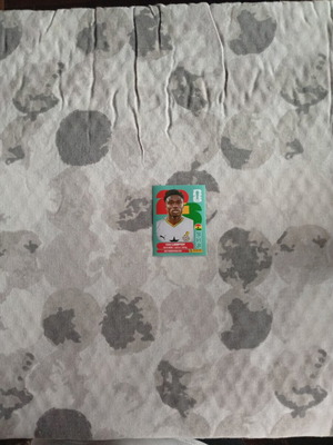 FIFA World Cup 2026 Ghana Sticker