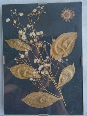 Glass frames with dried leaves and wild herbs composition used