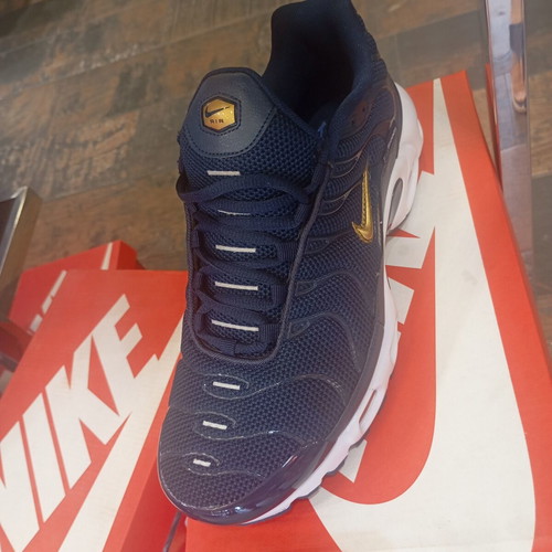 Nike Tn sneakers new in box, white and blue