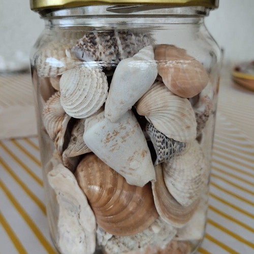 Jar with natural seashells like new