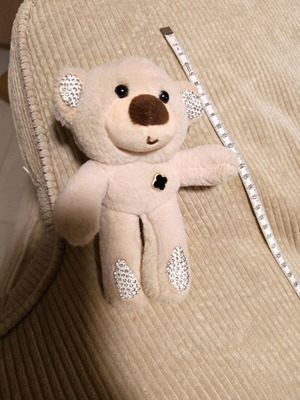 Stuffed toy used