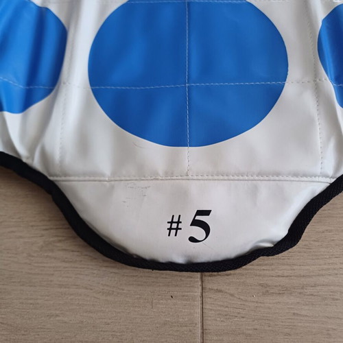 Olympus Chest Protector used, size 5 for martial arts