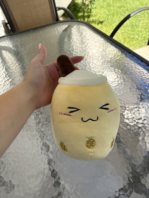 Plush teddy bear like new