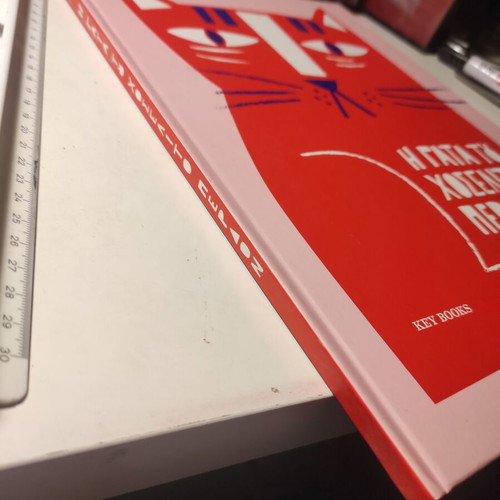 The Cat of Joselito Perdon Like New Hardcover Book
