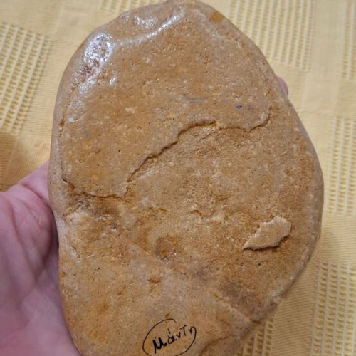 Painted stone with Donald hand-painted, new