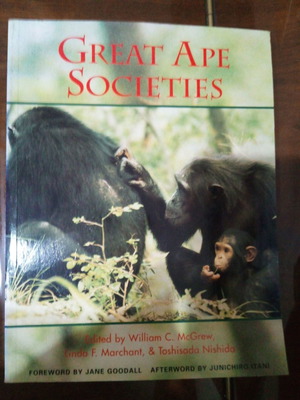 Great Ape Societies book like new, English