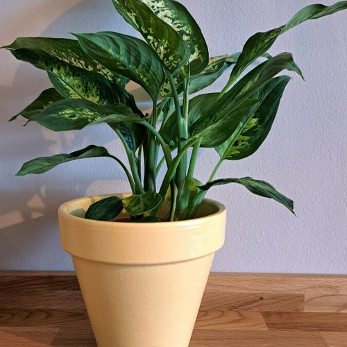 Clay flowerpot new yellow pastel hand-painted 15cm height