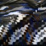 Πουκαμισο Zara με γεωμετρικα σχηματα