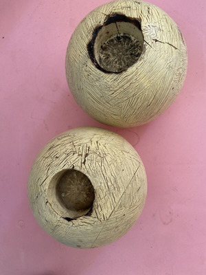 Wooden tealight candle holders with natural wear