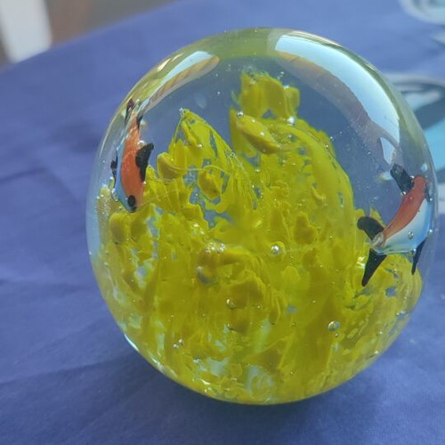Crystal ball with yellow seaweed and orange black fish new