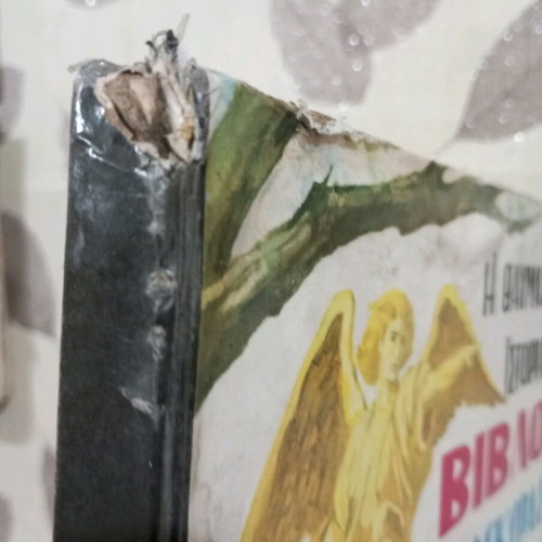 The Wonderful Story of the Bible used