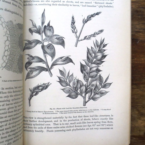 The Natural History of the Plants used two-volume set
