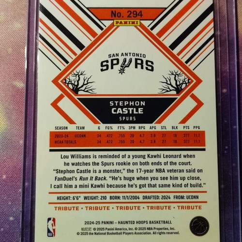 Stephon Castle Holo Bats Rookie card like new, Panini Haunted Hoops 2024-25