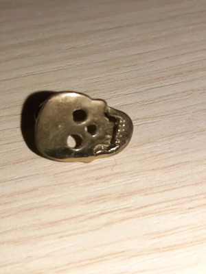Earrings pair new gold color with skull design