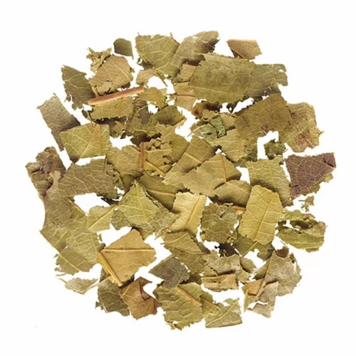 Chestnut leaf cut new from Greece