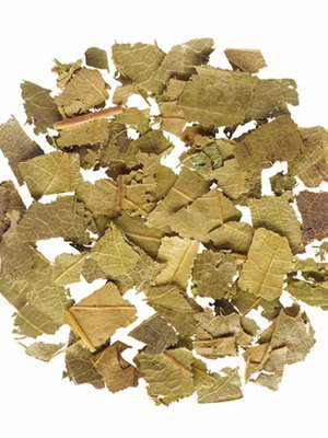 Chestnut leaf cut new from Greece