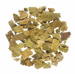 Chestnut leaf cut new from Greece