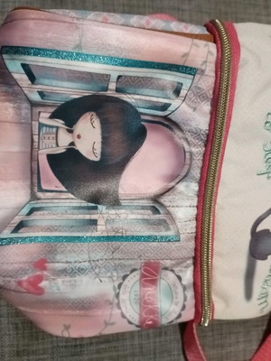 Anekke insulated lunch bag new
