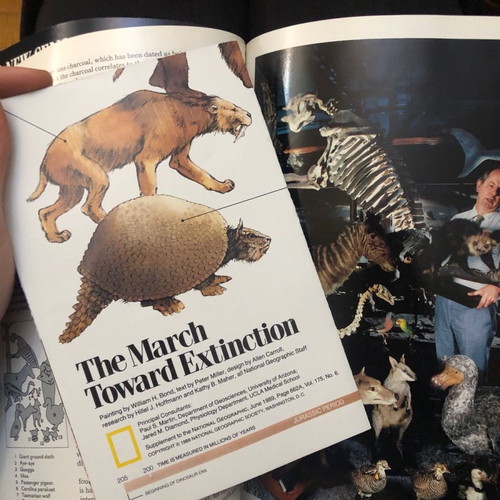 National Geographic magazine used June 1989 Vol. 175 No. 6 with supplement